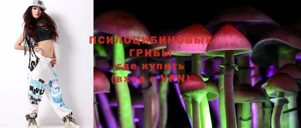 гидра Балахна
