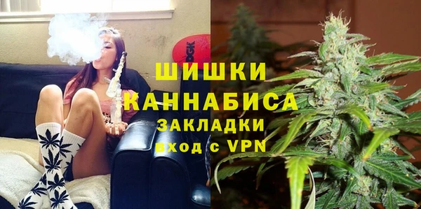 гидра Балахна
